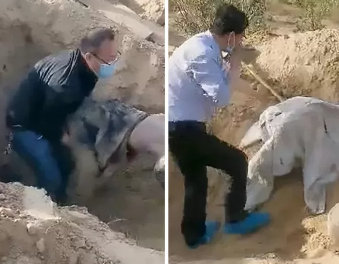 Elle survit après avoir été enterrée vivante par son fils pendant trois jours