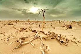 Climat : Mai 2020, le plus chaud jamais enregistré