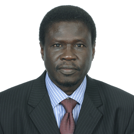 Le Mali se met l’albatros des élections autour du cou