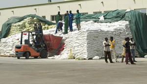 Campagne agricole 2022-2023: 17 milliards de F CFA pour les intrants