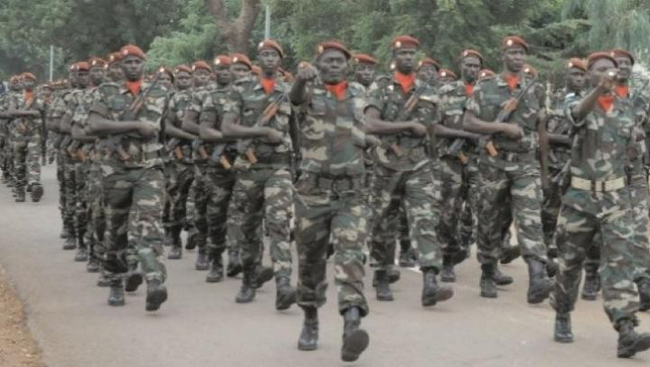 Vive l'armée Malienne