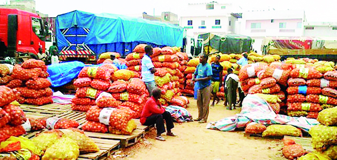 Sanctions contre le Mali : Des ONG tirent la sonnette d’alarme