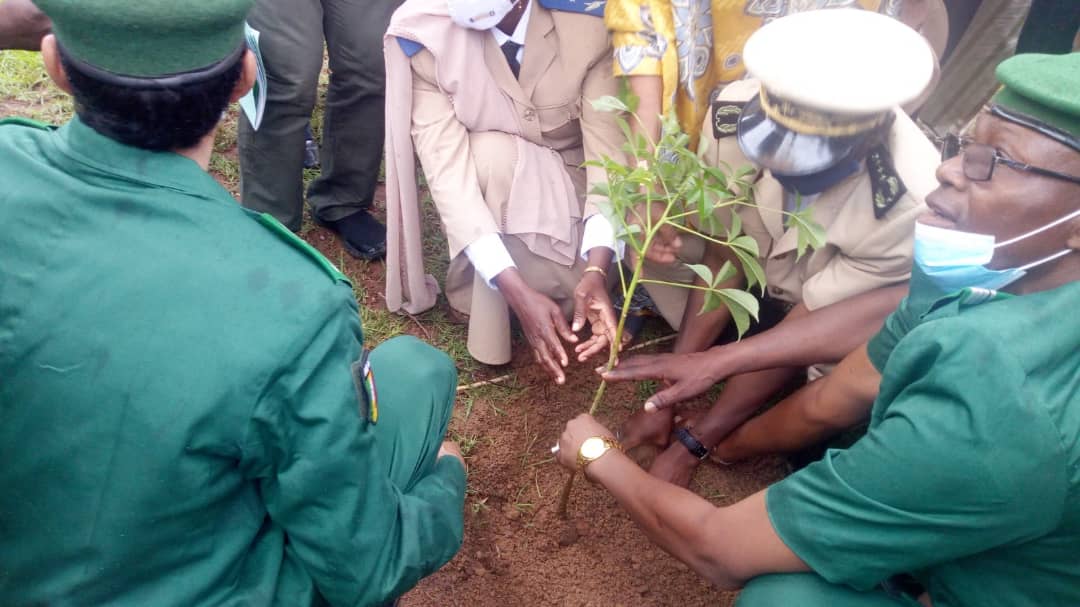La Direction Nationale des Eaux et Forêts lance la Campagne Nationale de Reboisement 2020.