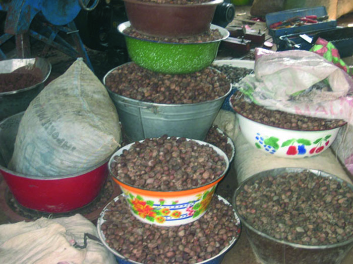 Conférence nationale du karité : Les préoccupations de la filière au cœur des échanges