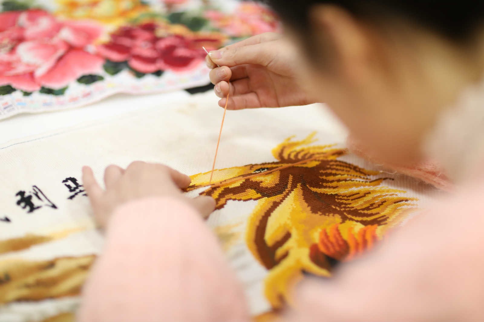 La totalité des 832 comtés pauvres de Chine sont sortis de la pauvreté