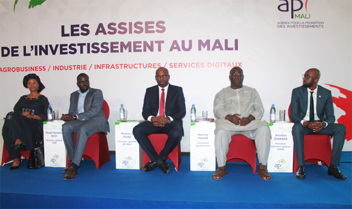 Investissement au Mali : Écueils identifiés, solutions proposées