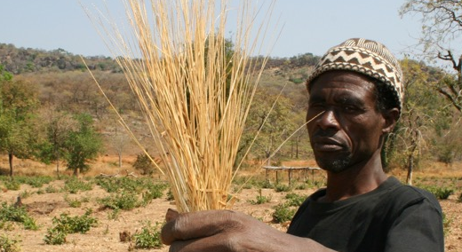 Le terrorisme balayé par la pluie