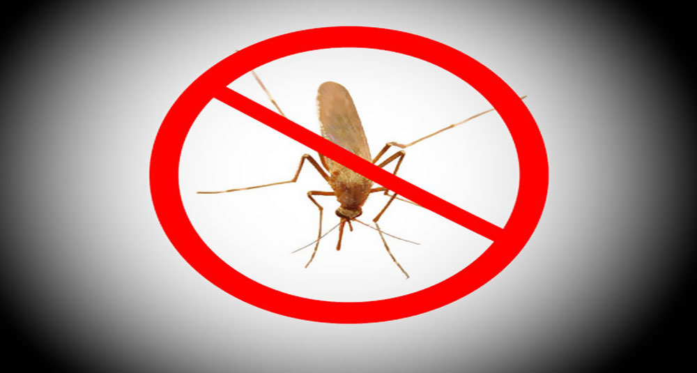 Lutte contre le paludisme : La surveillance épidémiologique se renforce