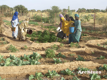 BAMAKO : Les femmes maraichères face aux dangers des prédateurs fonciers