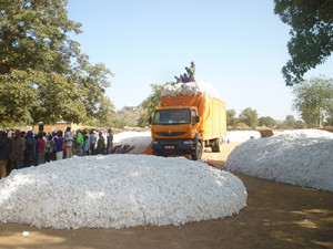 Compagnie malienne pour le Développement du Textile : Le Mali retrouve sa noblesse d’antan avec Dr. Nango Dembélé