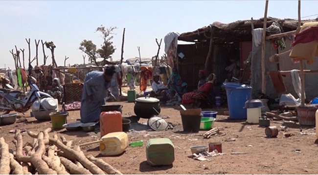 Marché à bétail de Niamana : Un lieu de refuge pour les déplacés du Centre