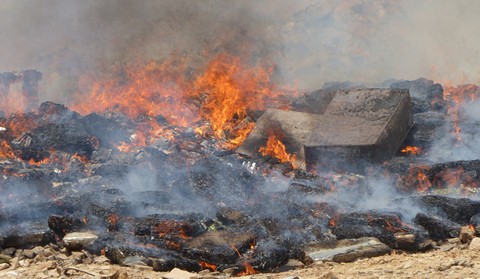 5eme édition d’incinération des stupéfiants par l’OCS Plus de 31 milliards Fcfa partis en fumée