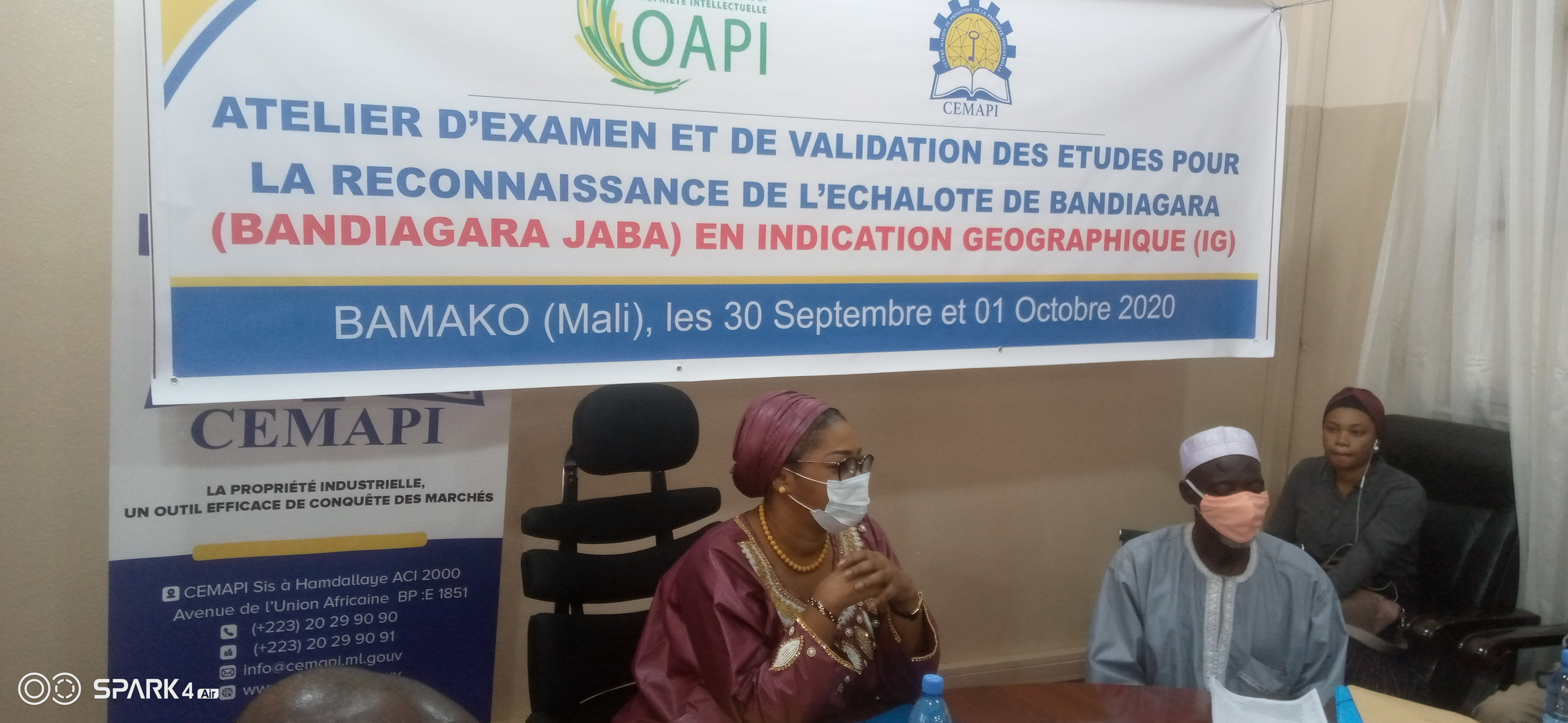 Échalote de Bandiagara : Un Atelier d’examen  et de validation des études pour sa reconnaissance!