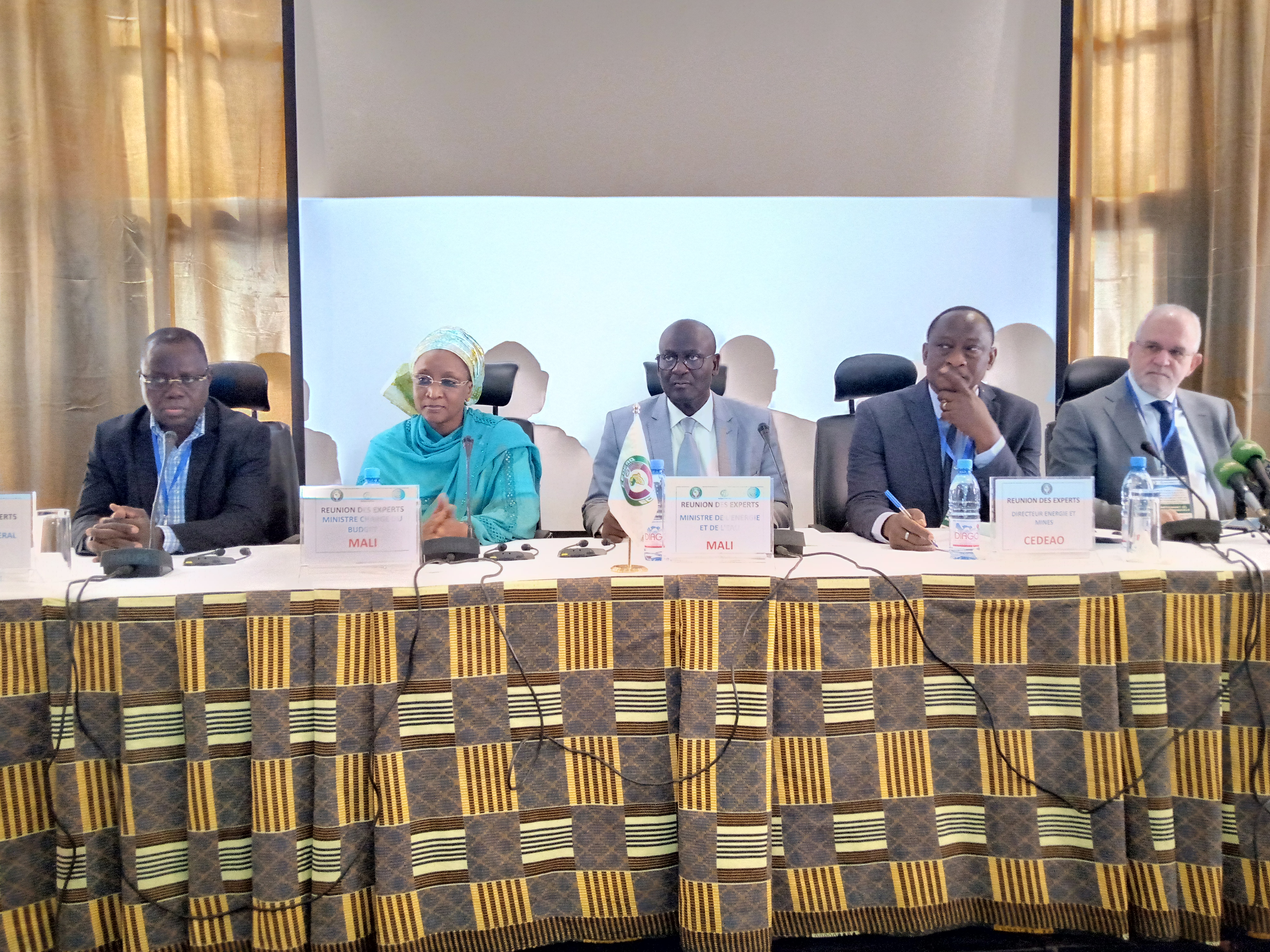 Energie : La CEDEAO à pied d’œuvre pour améliorer l'accès des populations à l'électricité