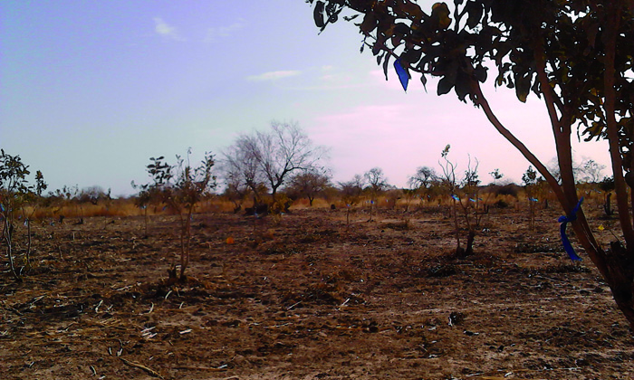 2021, la pire année pour le Sahel