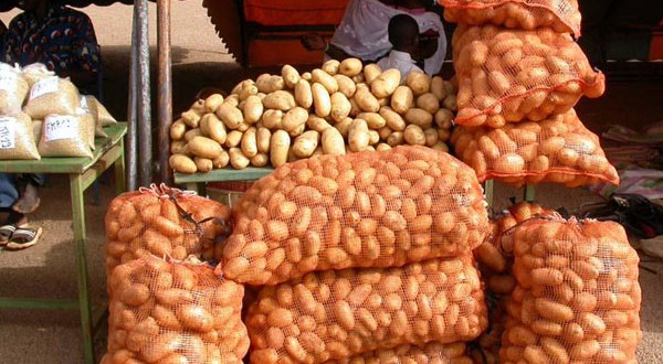 Diallo Safiatou Sidibé : Tout pour la vente de la pomme de terre