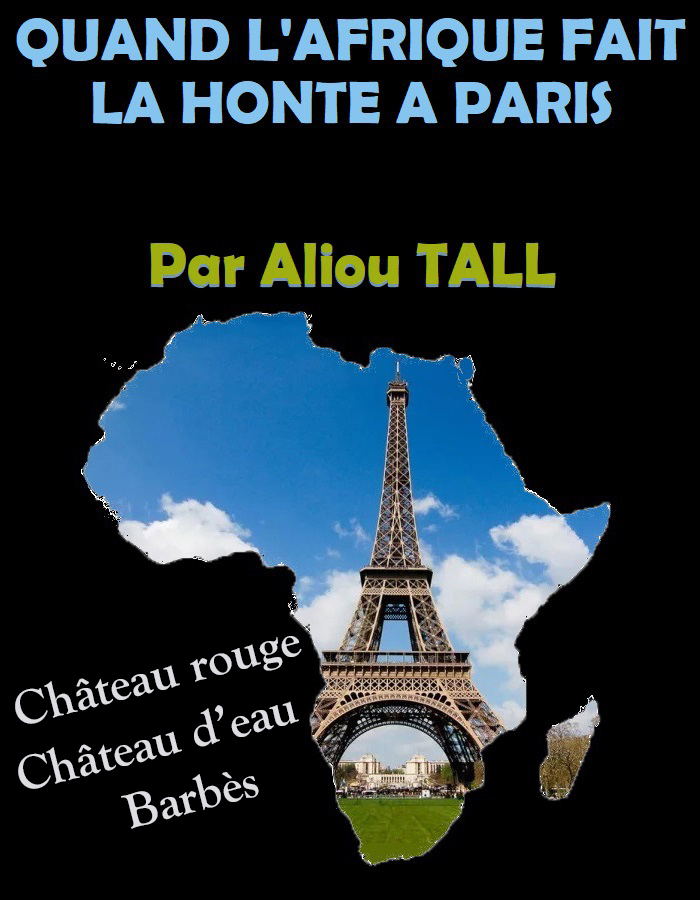 Quand l’Afrique fait la honte à Paris (Par Aliou TALL)