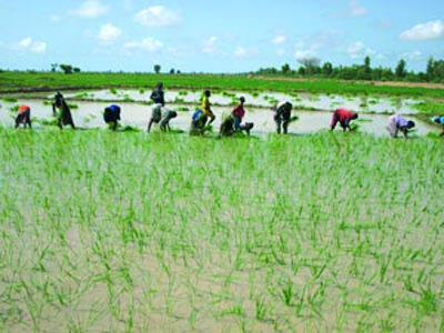 Dogofry : Deux morts et six blessés dans une attaque terroriste