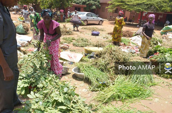 Fête de la Tabaski : La bonne affaire des vendeuses de fourrage