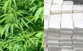 Un simple fait divers exploité par une certaine presse sénégalaise