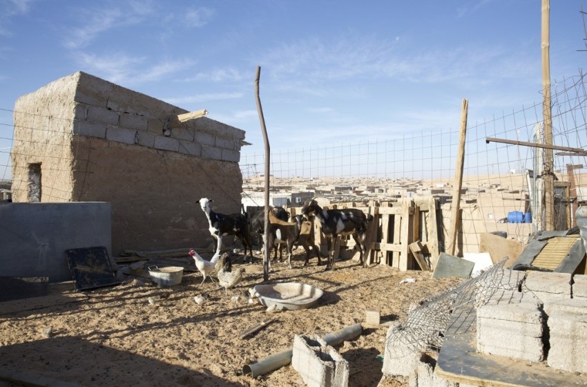 Cuisant revers pour le polisario et son parrain algérien : des Eurodeputés demandent une enquête à leur encontre sur le détournement des aides humanitaires de l'Union Européenne.