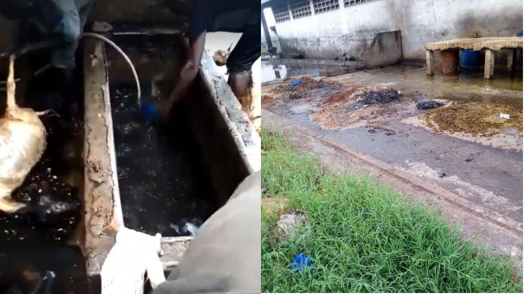 À l’abattoir frigorifique de Bamako "Les conditions d'hygiène sont exécrables"