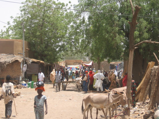 Gao : la MINUSMA poursuit l’opération Seka dans l’intérêt de la population