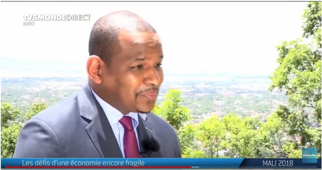 Mali - Défis d'une économie fragile, entretien avec Boubou Cissé, ministre de l'économie - 2018