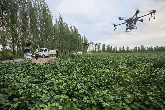 "L'économie sans personnel" accélère son développement en Chine