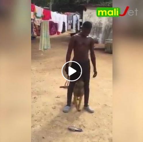 Cet homme a l'art de dresser le chien