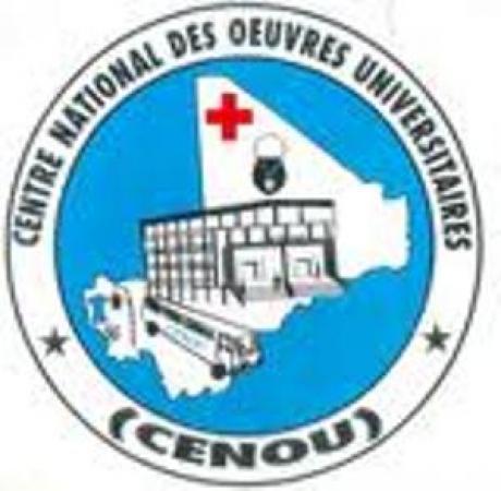 CENOU : L’innovation au cœur des actions du colonel Ousmane Dembélé