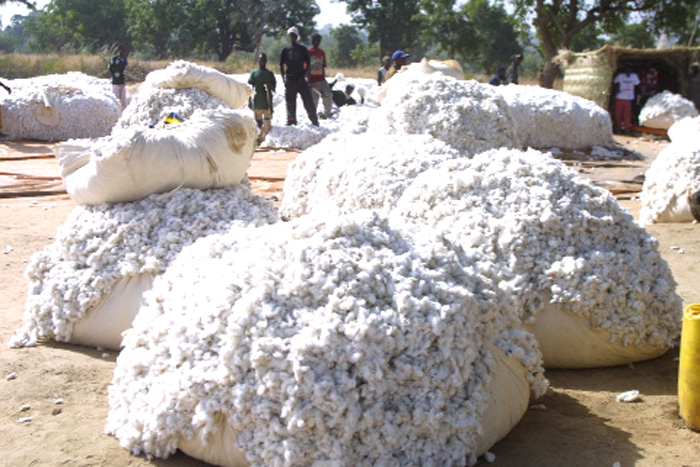 280 FCFA le prix du kilogramme du coton grain au producteur : Le beau cadeau de Bah N’DAW aux producteurs Maliens