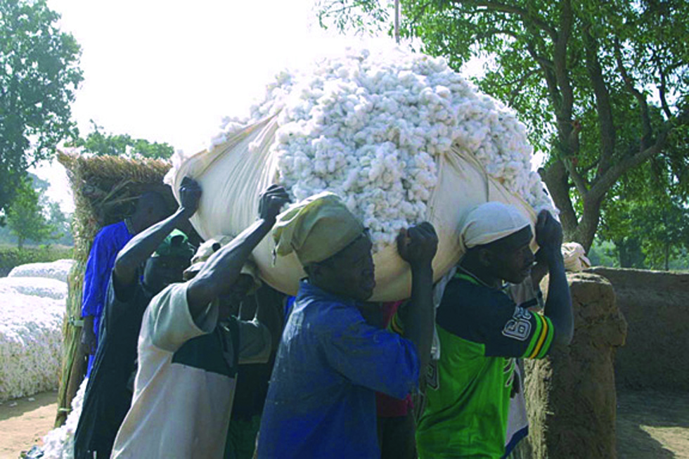 Cerfitex : Renforcement des capacités des agents charges du classement du coton fibre