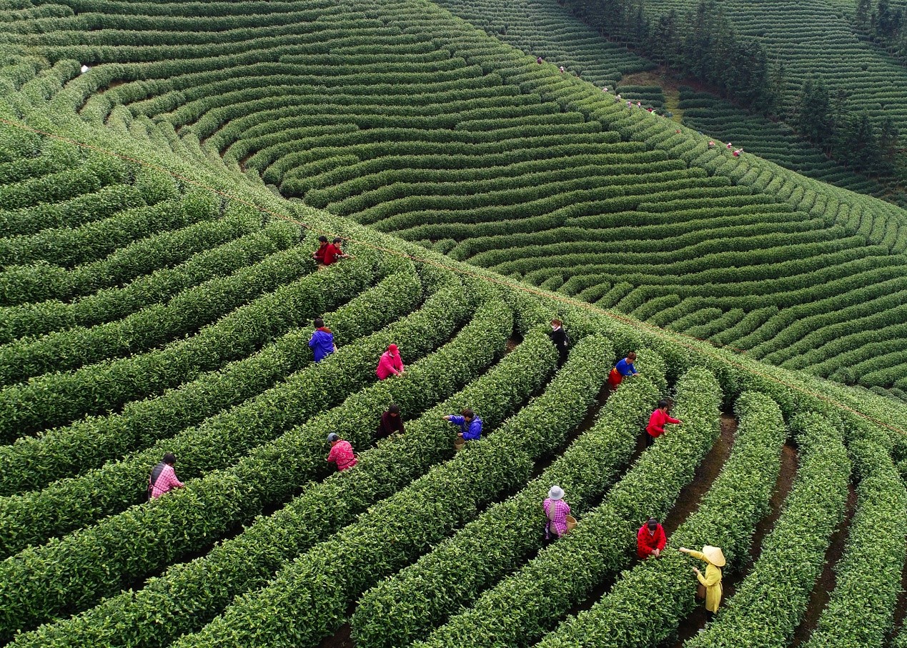 La coopération entre l’Europe et la Chine met en valeur les “indications géographiques”