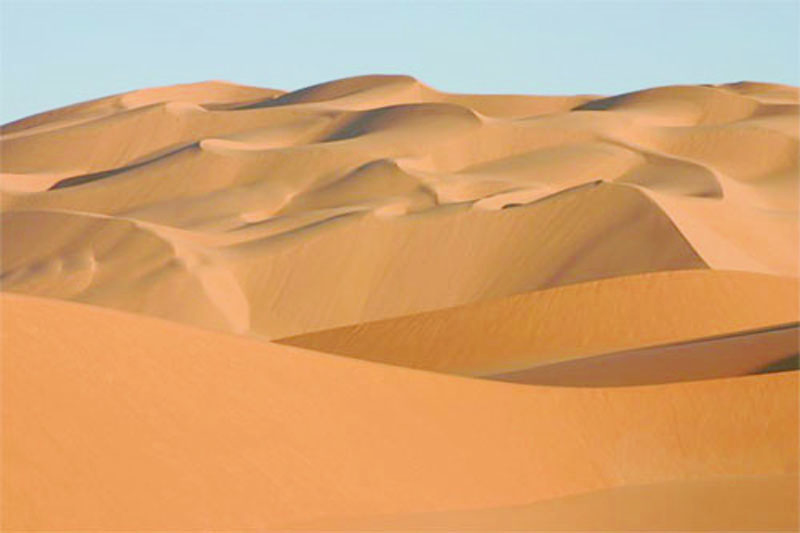 Attaque contre l'armée malienne à Mondoro : 6 soldats maliens tués et 10 autres blessés