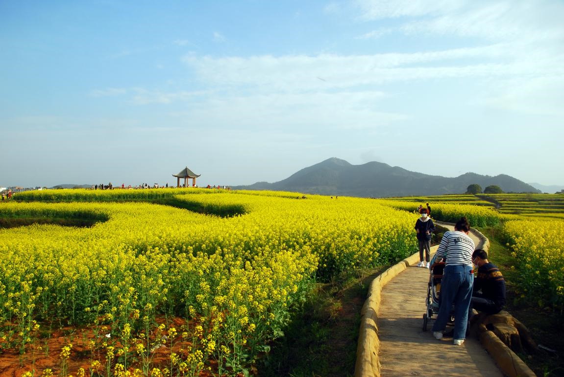 L’économie chinoise a résisté aux chocs provoqués par l’épidémie