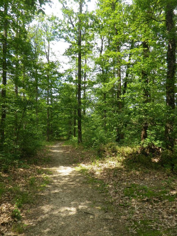 FANTA SAKILIBA : forêt du WAGADOU bienvenue chez les terroristes !