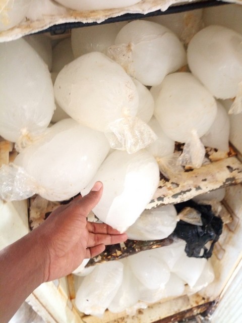 MOIS DE RAMADAN: La glace, un produit précieux en cette période