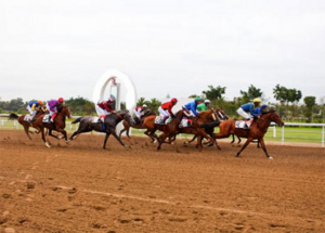 Grand Prix de la Nation 2021 : La bonne touche de PMU-Mali