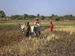 L’insalubrité à Bamako pendant l’hivernage : Un casse-tête pour les populations