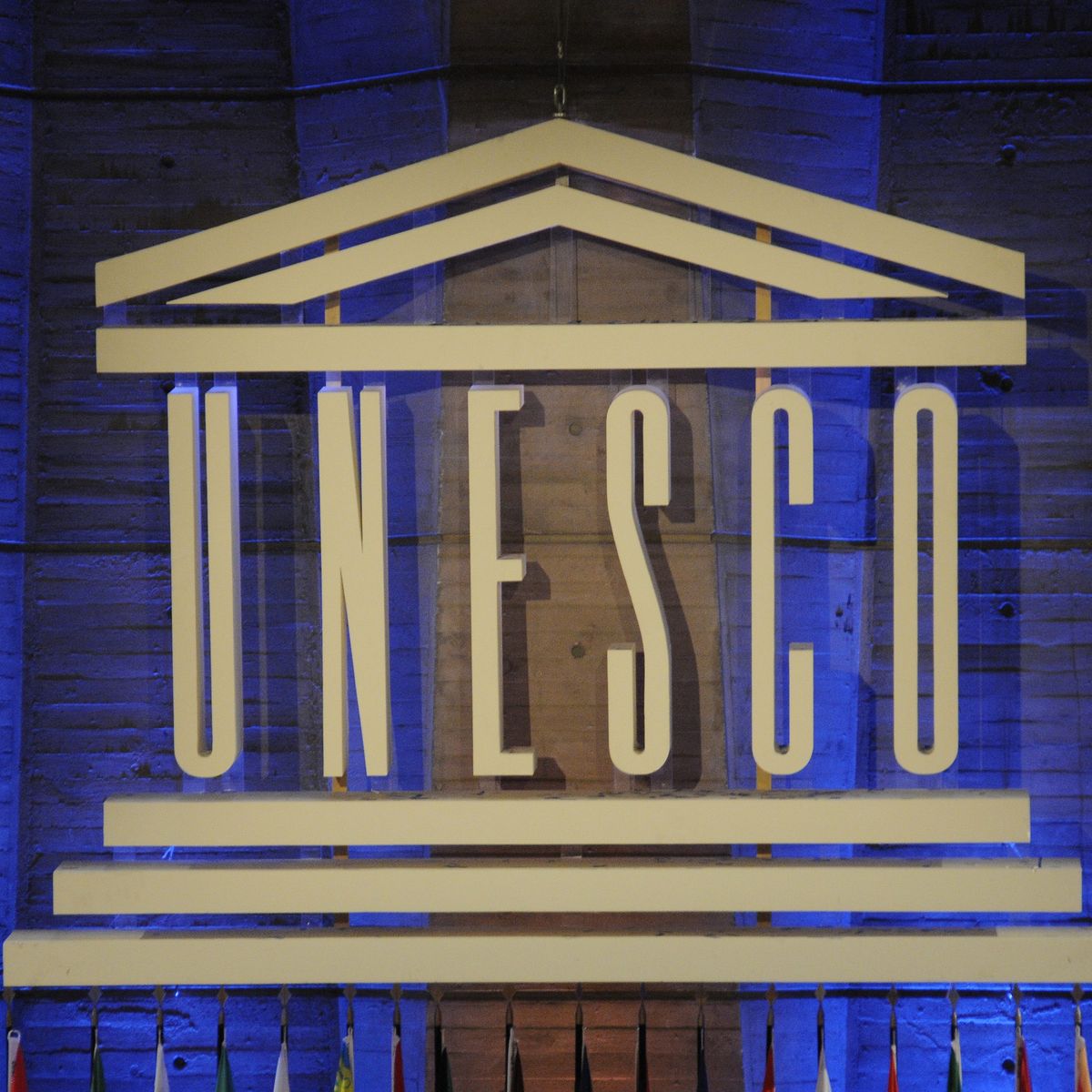 Valorisation des langues : L’Unesco décrète le 25 septembre, journée mondiale de la langue Soninké