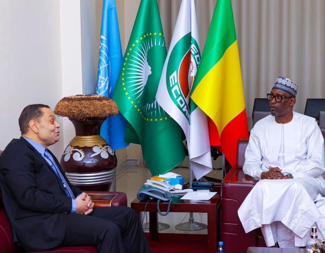 Proche-Orient : Le Mali dénonce l’usage disproportionné de la force contre les civils en Palestine