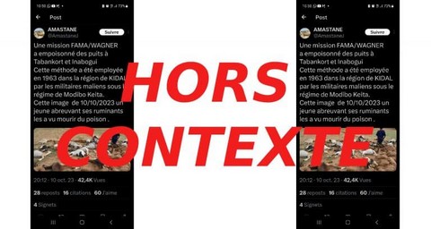 #BenbereVerif : Des animaux morts à la suite d’inondations, pas d’un empoisonnement des puits par les FAMa