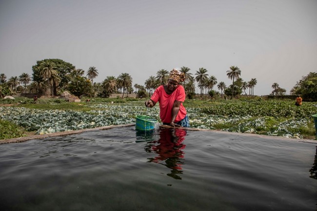 Les cycles de l’eau menacés par le changement climatique et les activités humaines