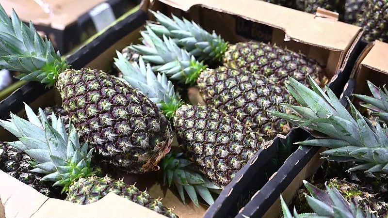 CIIE, une nouvelle plateforme chinoise pour soutenir les pays les moins développés