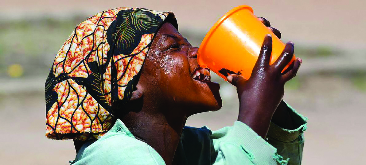 Guinée : Découverte d’une solution pour rendre les eaux de puits potables grâce au Moringa