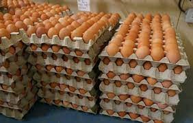 Œufs de poule: Moult raisons derrière la flambée du prix 