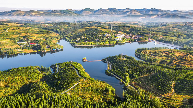 COP28 : Concrétiser le triptyque Énergie, Climat, Croissance