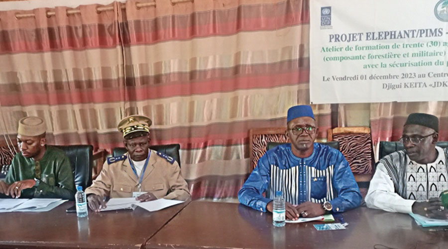 Protection des ressources naturelles et de la biodiversité : Le Mali forme 30 militaires et agents forestiers pour protéger les éléphants du Gourma 