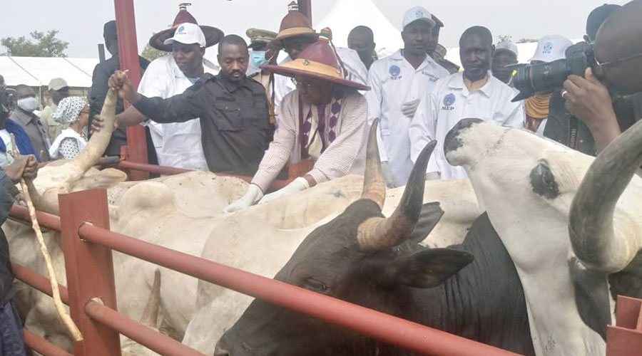 Lancement de la campagne nationale de vaccination du cheptel 2023-2024 : Plus de 76 millions de têtes seront vaccinées durant cette édition